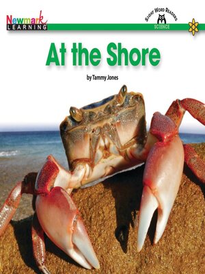 cover image of At the Shore